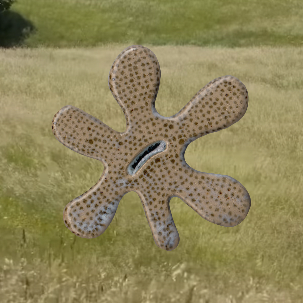 Ceramic flower wall hanger