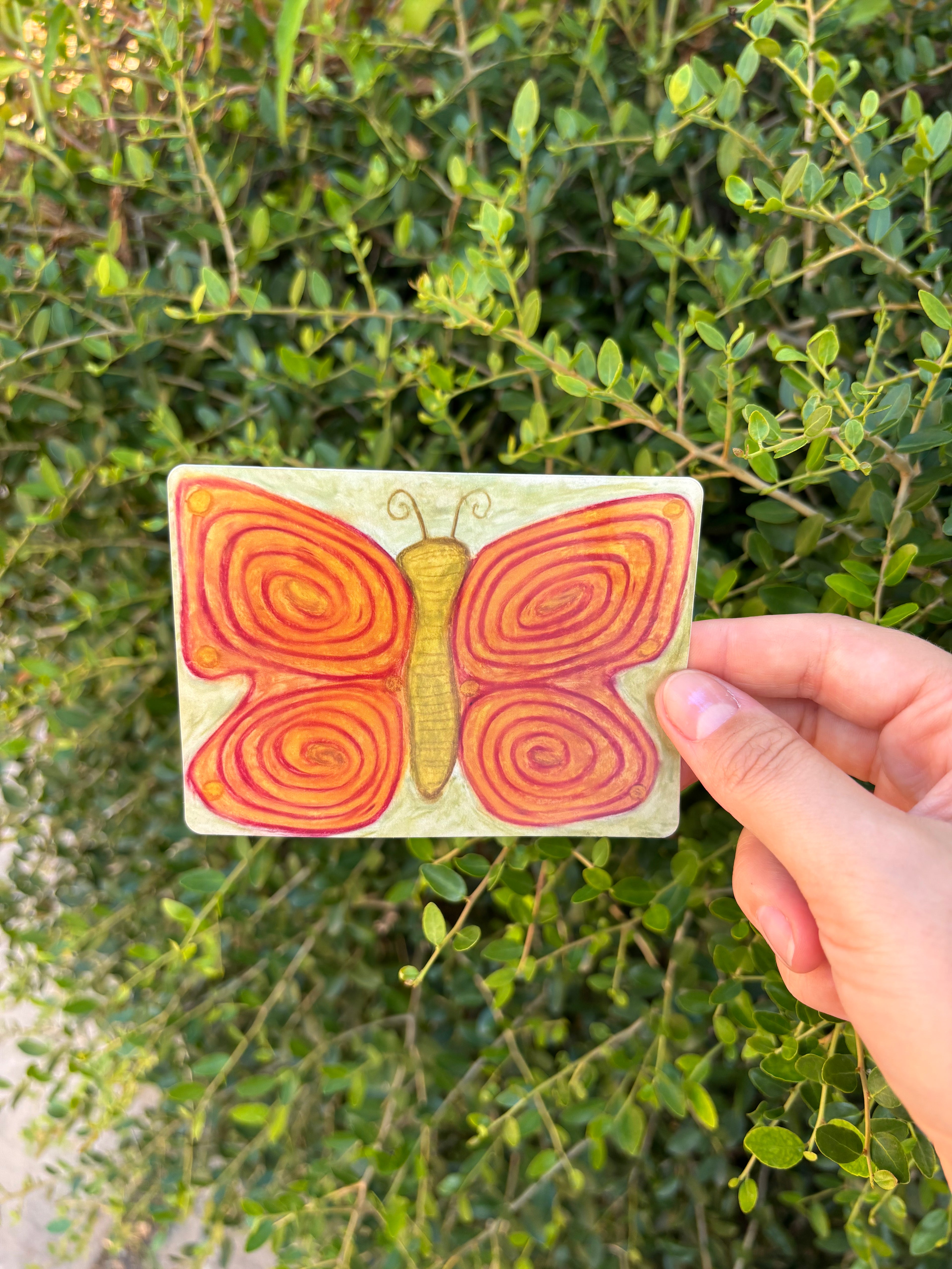 Big Ole Butterfly sticker